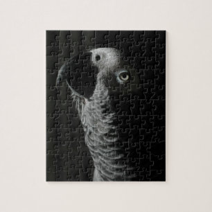 Puzzle Loro del gris africano