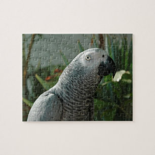 Puzzle Loro dignificado del gris africano