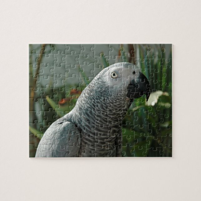 Puzzle Loro dignificado del gris africano (Horizontal)