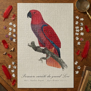 Puzzle Loro Eclecto de Vosmaer, Eclectus Roratus Vosmaeri