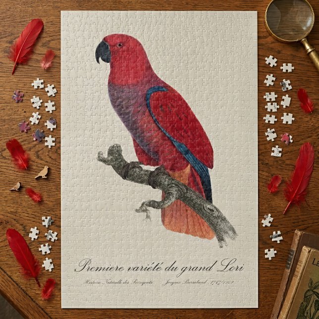 Puzzle Loro Eclecto de Vosmaer, Eclectus Roratus Vosmaeri (Vosmaer Eclectus Parrot, Eclectus Roratus Vosmaeri. Jigsaw Puzzle)