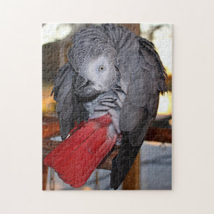 Puzzle Loro flexible del gris africano de Congo con la