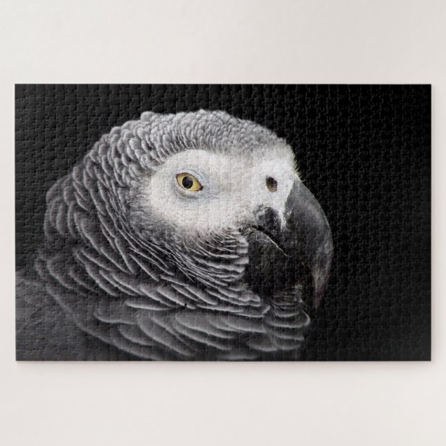 Puzzle Loro gris africano (Horizontal)