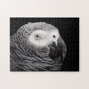 Puzzle Loro gris africano