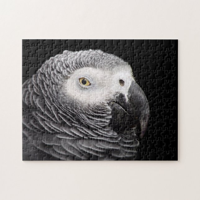 Puzzle Loro gris africano (Horizontal)