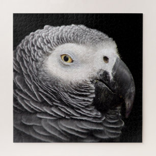 Puzzle Loro gris africano