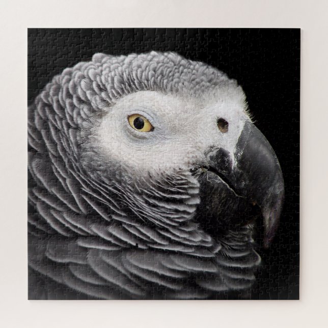 Puzzle Loro gris africano (Horizontal)
