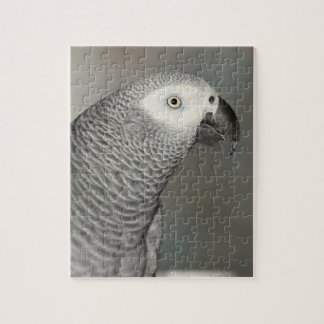 Puzzle Loro gris estadista africano