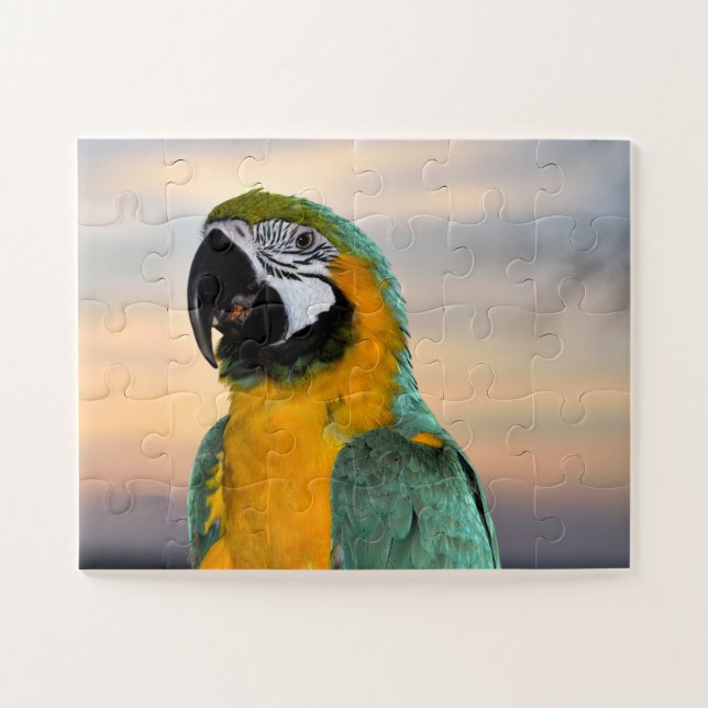 Puzzle Loro guacamayo (Horizontal)