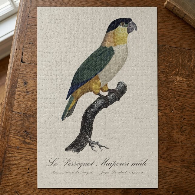 Puzzle Loro Macho de Cabeza Negra, Pionites Melanocephalu (Black-Headed Male Parrot, Pionites Melanocephalus. Jigsaw Puzzle)