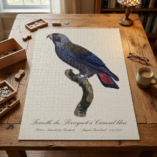 Puzzle Loro obscuro o Pionus obscuro, Pionus fuscus