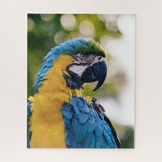 Puzzle Loro tropical de macao azul y amarillo (Vertical)