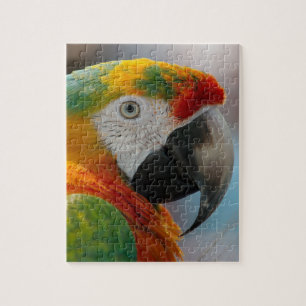 Puzzle Loro tropical del Macaw