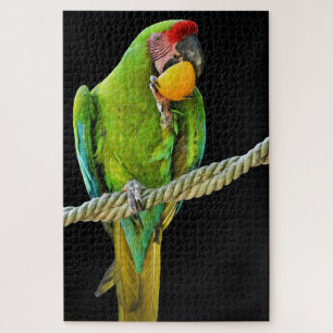 Puzzle Loro Verde Ara Militaris