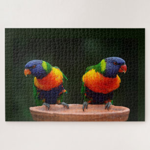 Puzzle Loros de Lorikeet del arco iris