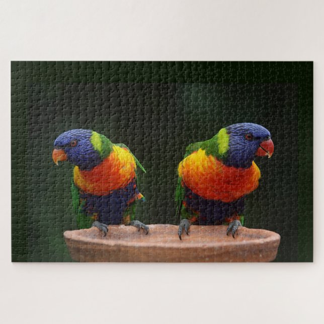 Puzzle Loros de Lorikeet del arco iris (Horizontal)