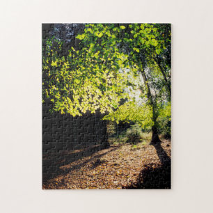 Puzzle Los bosques en primavera