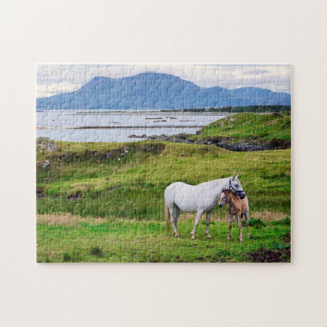 Puzzle Los caballos de Connemara el | Galway, Irlanda (Horizontal)