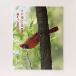 Puzzle ¡Los cardenales aparecen cuando los ángeles están 