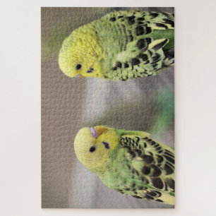 Puzzle Los chicas