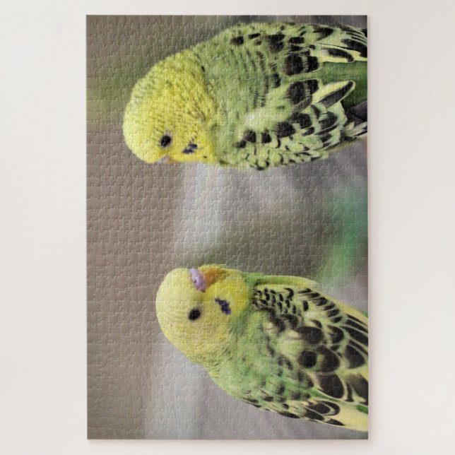 Puzzle Los chicas (Vertical)