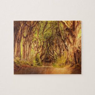 Puzzle Los Dark Hedges Antrim Irlanda.