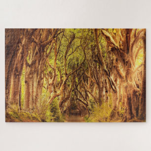 Puzzle Los Dark Hedges Antrim Irlanda.
