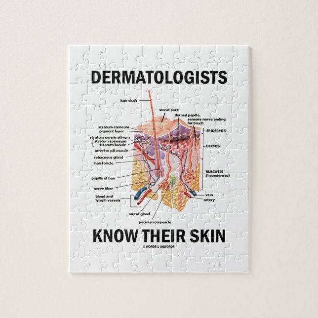 Puzzle Los dermatólogos saben su piel (la anatomía) (Vertical)