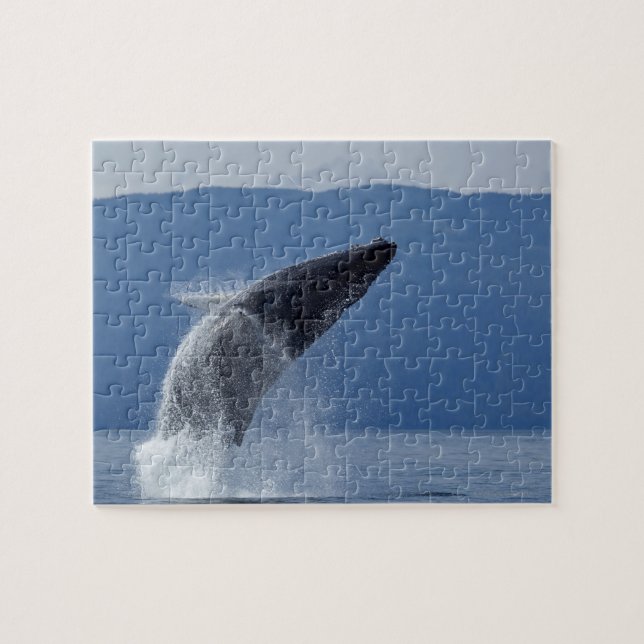 Puzzle Los E.E.U.U., Alaska, Angoon, ballena jorobada (Horizontal)