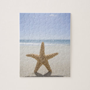 Puzzle Los E.E.U.U., Massachusetts, Cape Cod, Nantucket,
