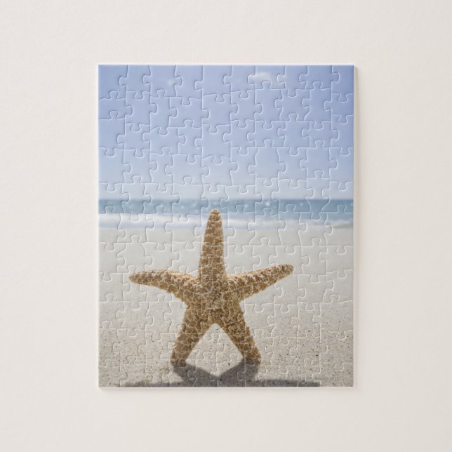 Puzzle Los E.E.U.U., Massachusetts, Cape Cod, Nantucket, (Vertical)