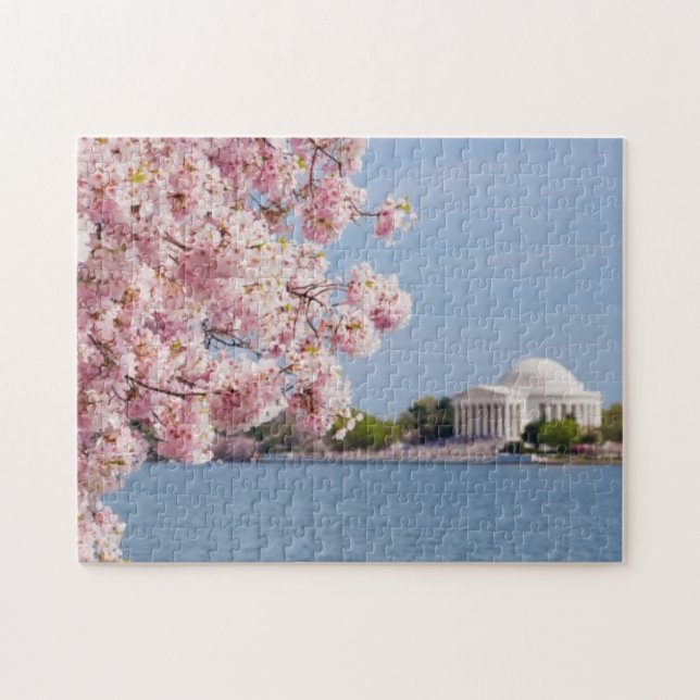 Puzzle Los E.E.U.U., Washington DC, cerezo (Horizontal)