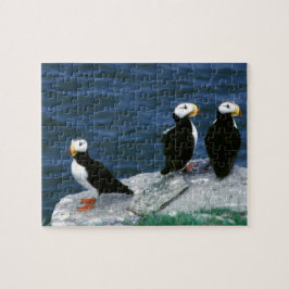 Puzzle Los frailecillos de Alaska emplumaron pájaros