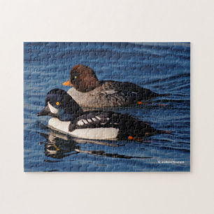 Puzzle Los gallos de Barrow en Goldeneye en Stanley Park