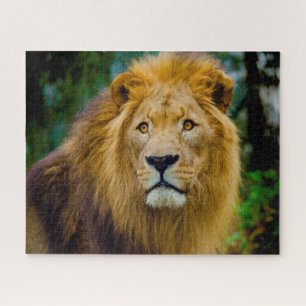Puzzle Los Grandes Felinos Leones.