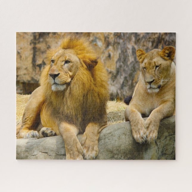 Puzzle Los Grandes Leones De Gatos. (Horizontal)