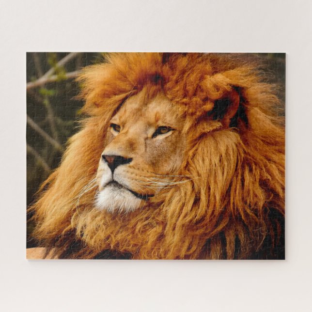 Puzzle Los grandes leones gatos (Horizontal)
