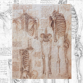 Puzzle Los huesos de esqueleto de anatomía humana de Leon