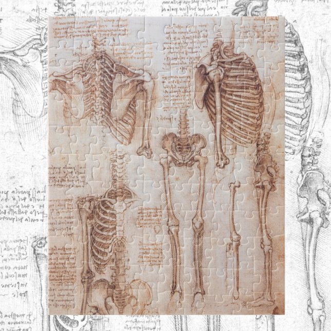 Puzzle Los huesos de esqueleto de anatomía humana de Leon (Subido por el creador)