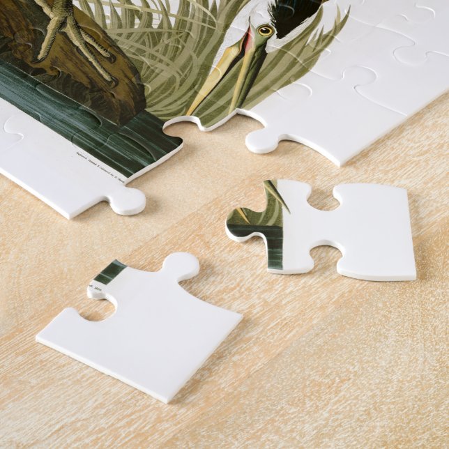 Puzzle Los pájaros de Juan Audubon de la garza de gran (Lado)