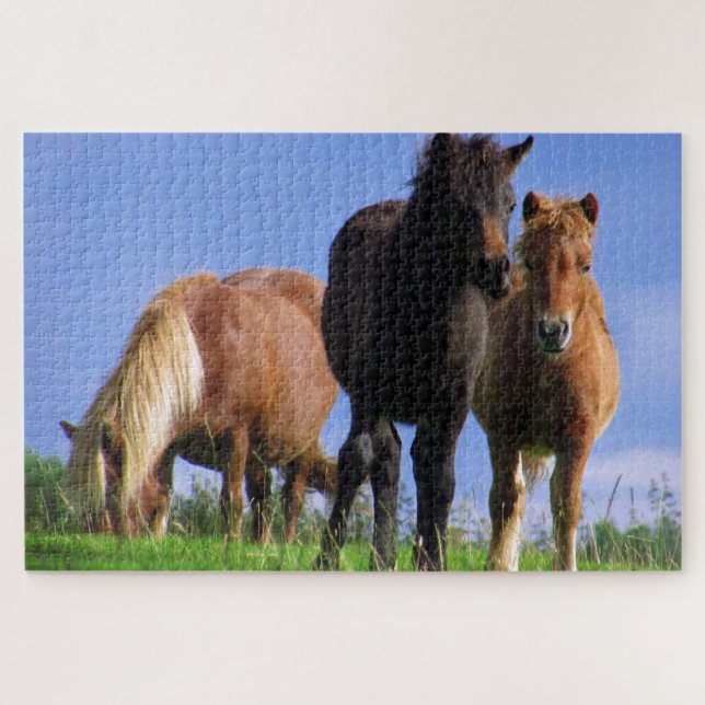 Puzzle Los ponis (Horizontal)