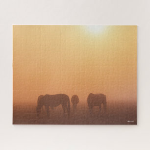 Puzzle Los Ponis Caspios Se Enfurecen En El Amanecer