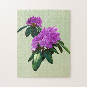 Puzzle Los rododendros rosados encantadores