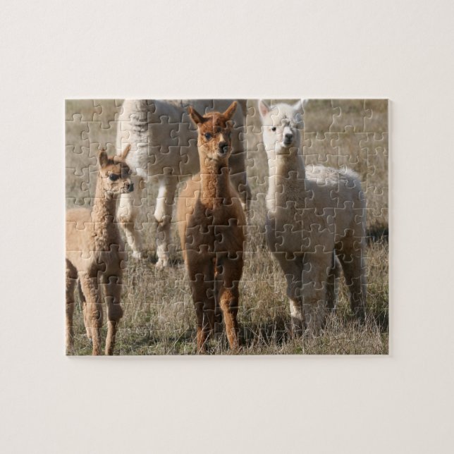 Puzzle Los tres amigos, Alpaca-Estilo (Horizontal)