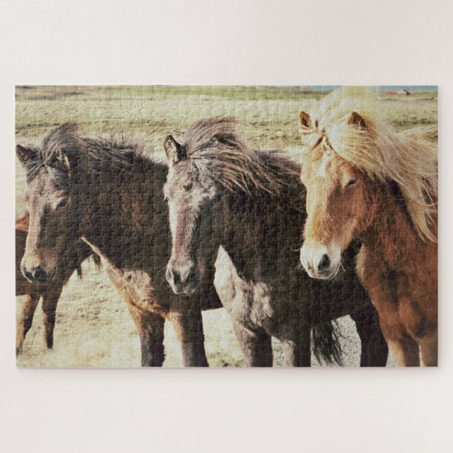 Puzzle Los tres amigos islandeses del caballo (Horizontal)