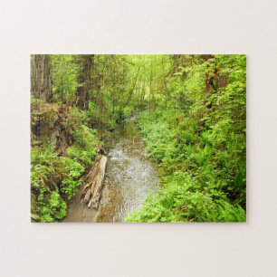 Puzzle Lost Man Creek II en el Parque Nacional Redwood