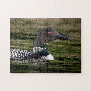 Puzzle Lote común en Jabe Pond