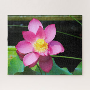Puzzle Loto rosa caliente