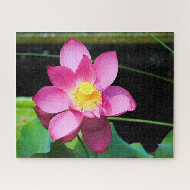Puzzle Loto rosa caliente (Horizontal)