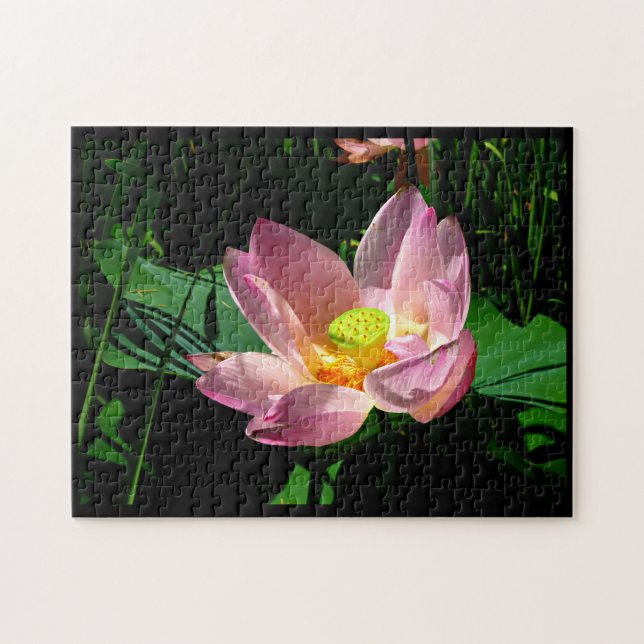 Puzzle Lotus Blossom (Horizontal)
